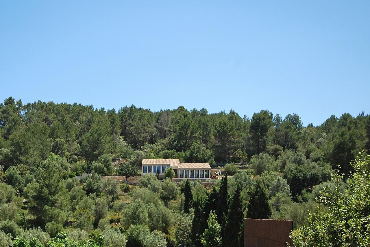 Puigferrer Holiday home *